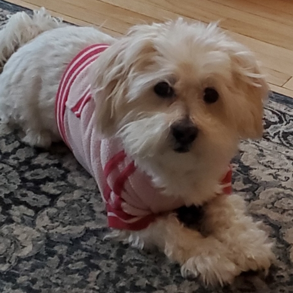 ❤Offers Welcome❤️ - Picture 11 of 11